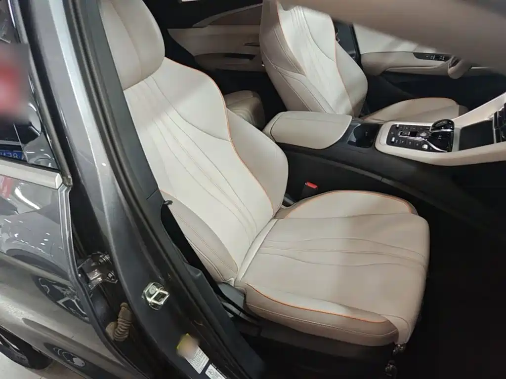 BYD Pro New Energy — миниатюра 25