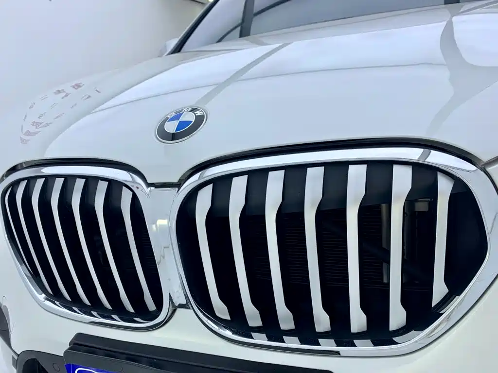 BMW X1 sDrive20Li Premium Type, фото 10