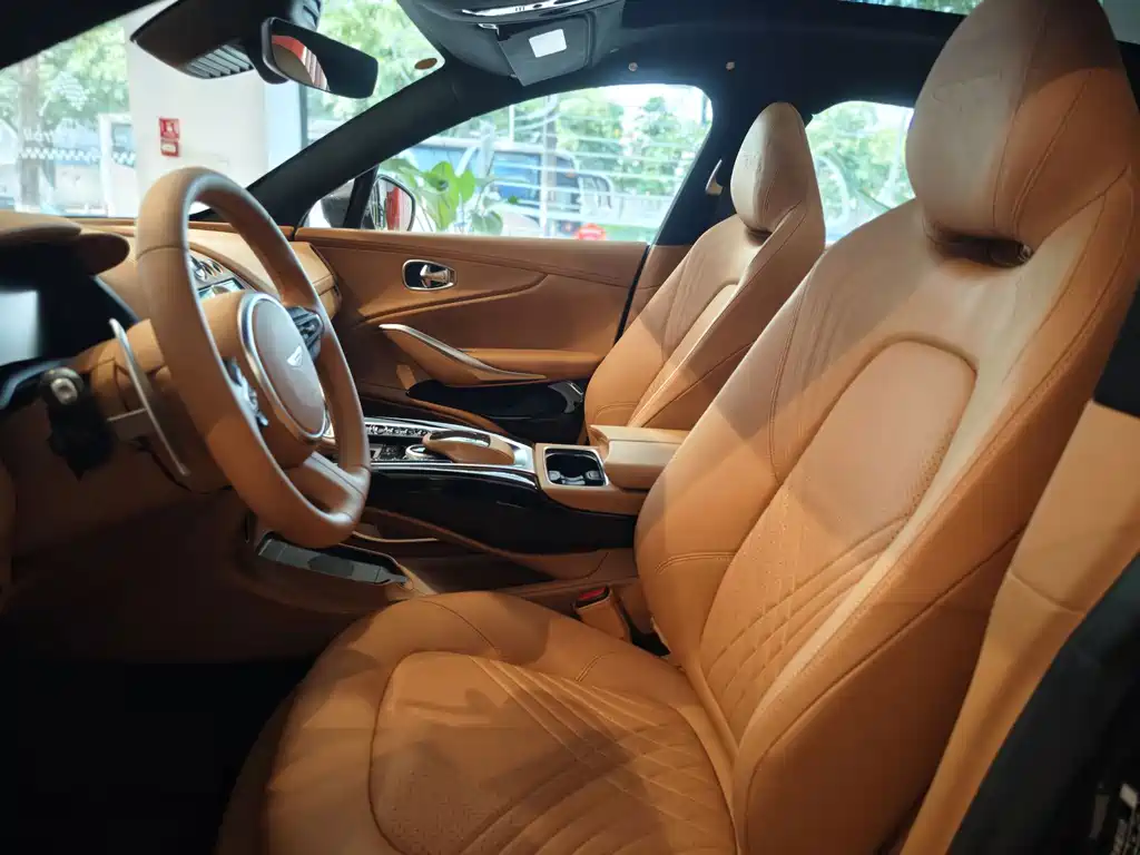 Aston Martin DBX — миниатюра 15