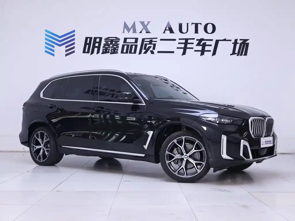 BMW X5 — миниатюра 5