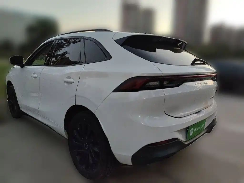 Fengxing Fengxing T5 EVO — миниатюра 25