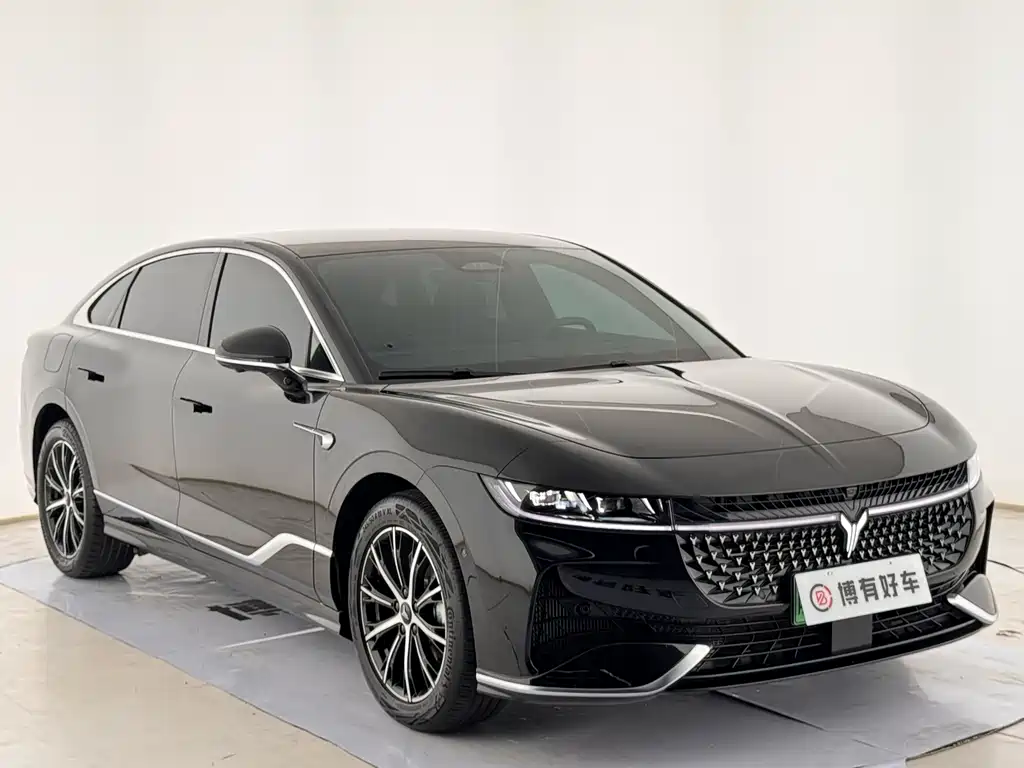 Voyah Passion 2024 PHEV Executive