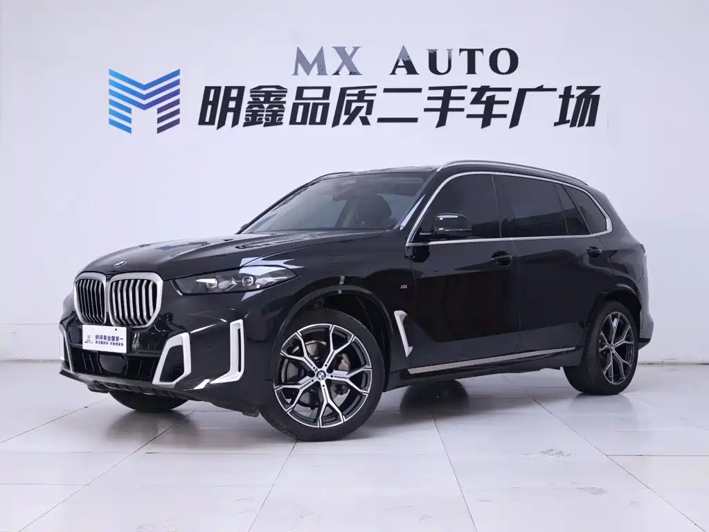 BMW X5 — миниатюра 2