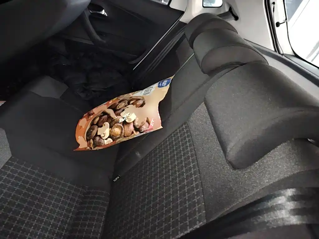Volkswagen Polo — миниатюра 17