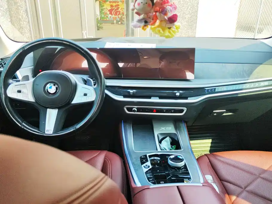 BMW X5 — миниатюра 12
