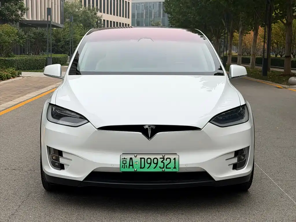 Tesla Model X — миниатюра 2
