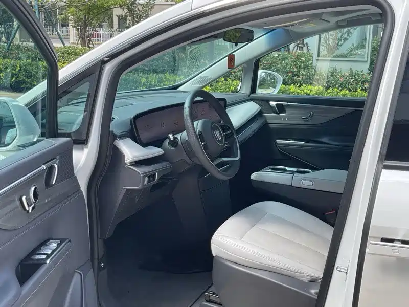 Buick GL8 — миниатюра 19