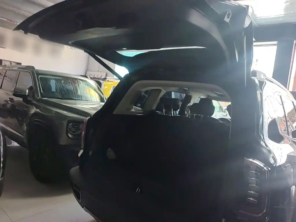 Haval Big Dog — миниатюра 19