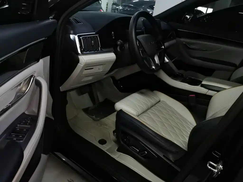 BYD PLUS New Energy — миниатюра 15