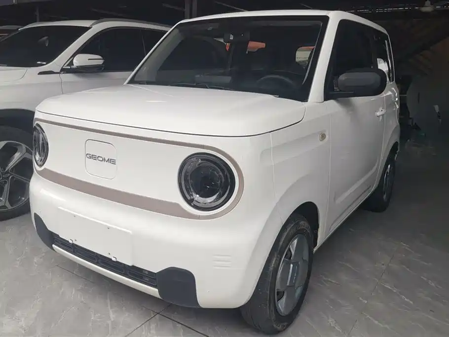 Galaxy Panda 2023