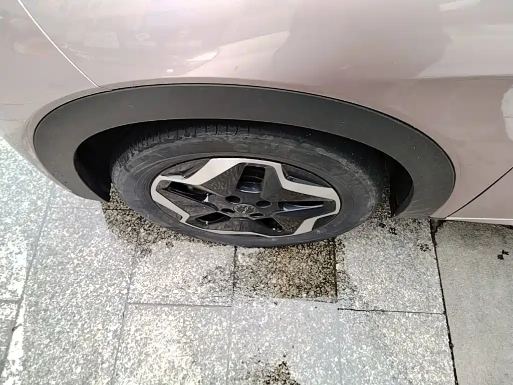 BYD Dolphin — миниатюра 23
