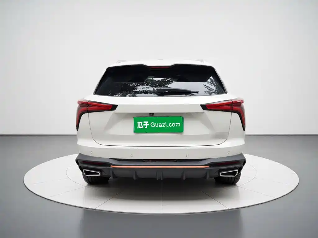 Haval Shenshou — миниатюра 3