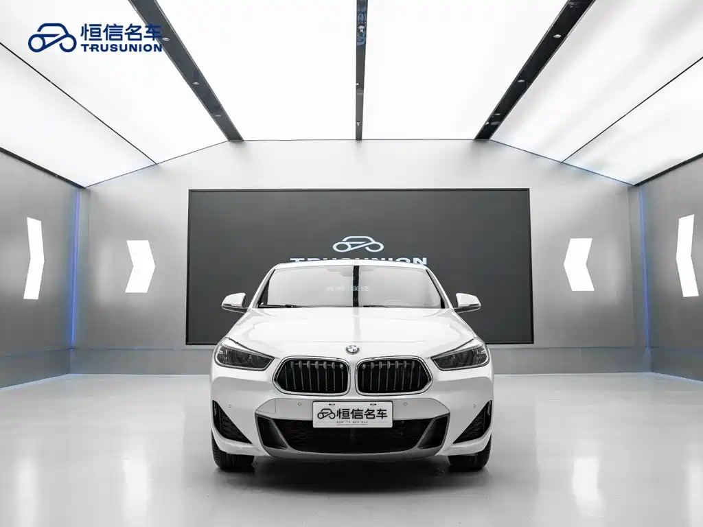 BMW X2 — миниатюра 2