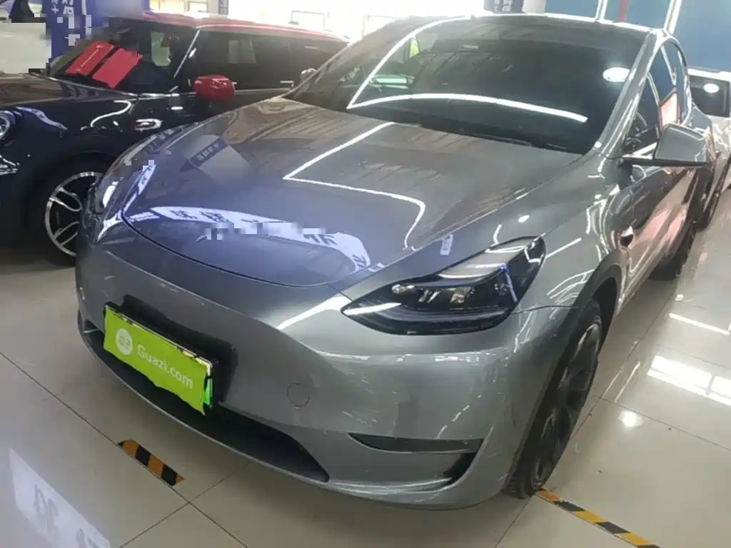 Tesla Model Y — миниатюра 2