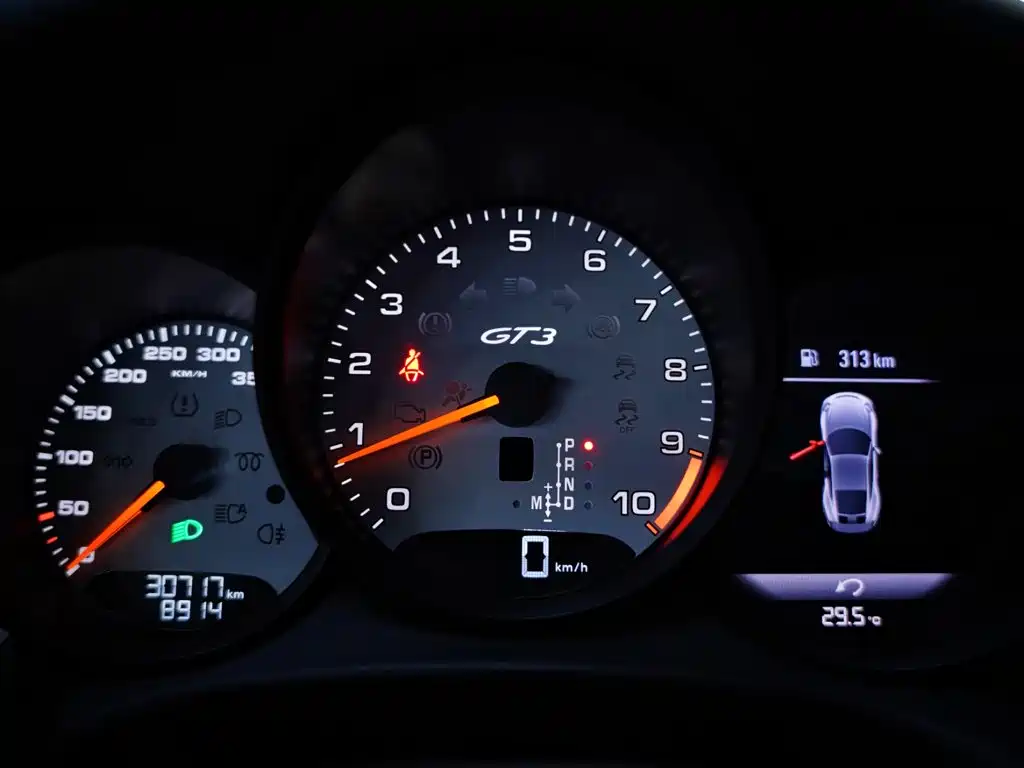 Porsche 911 — миниатюра 11