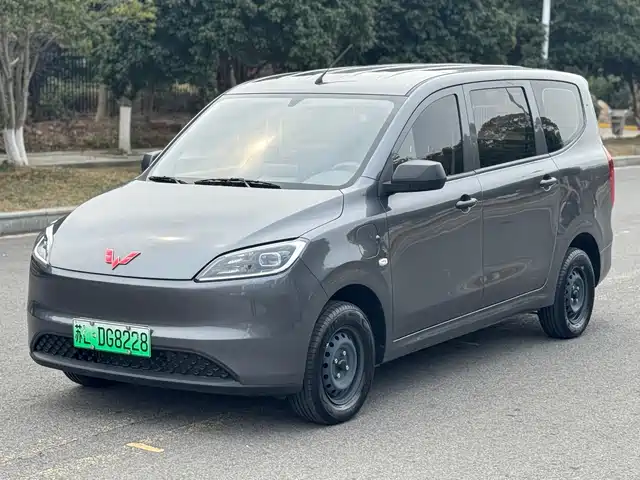 WULING WULING HONGGUANG NEW ENERGY 2024