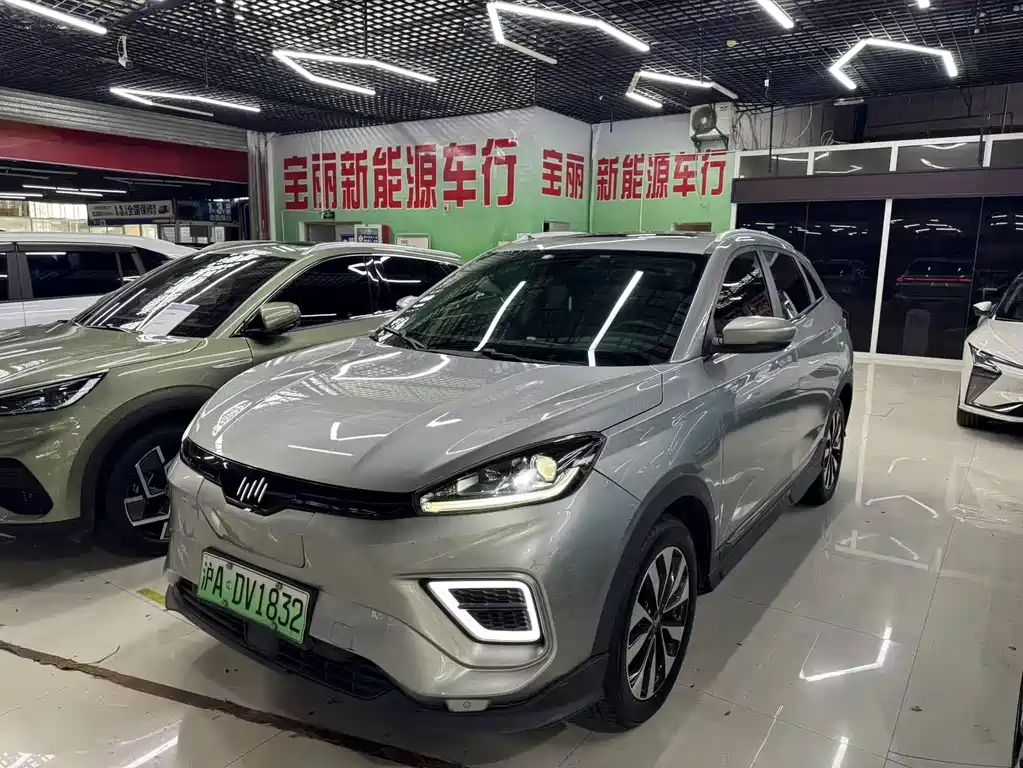 WM Motor EX5