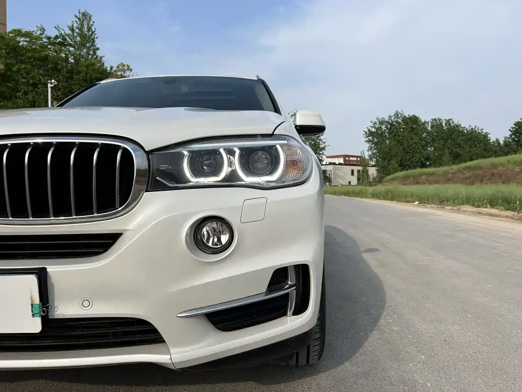 BMW X5 (Import) — миниатюра 18