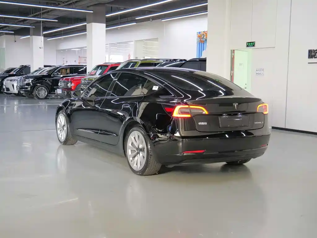 Tesla Model 3 — миниатюра 5