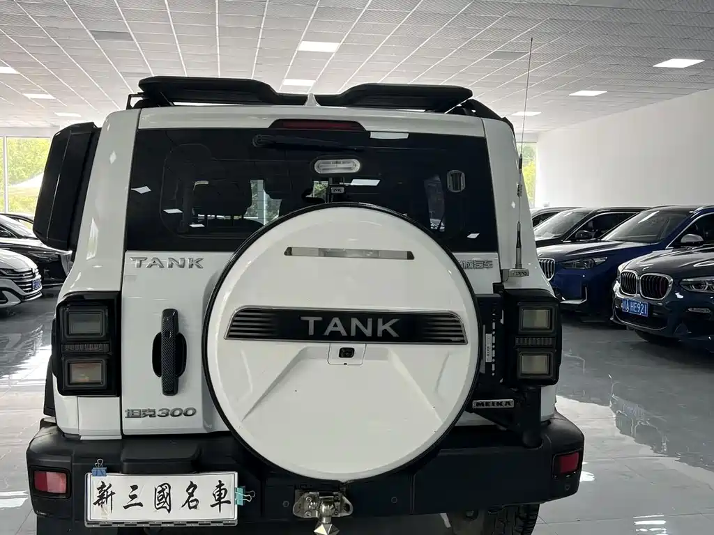 Tank Tank 300 — миниатюра 6