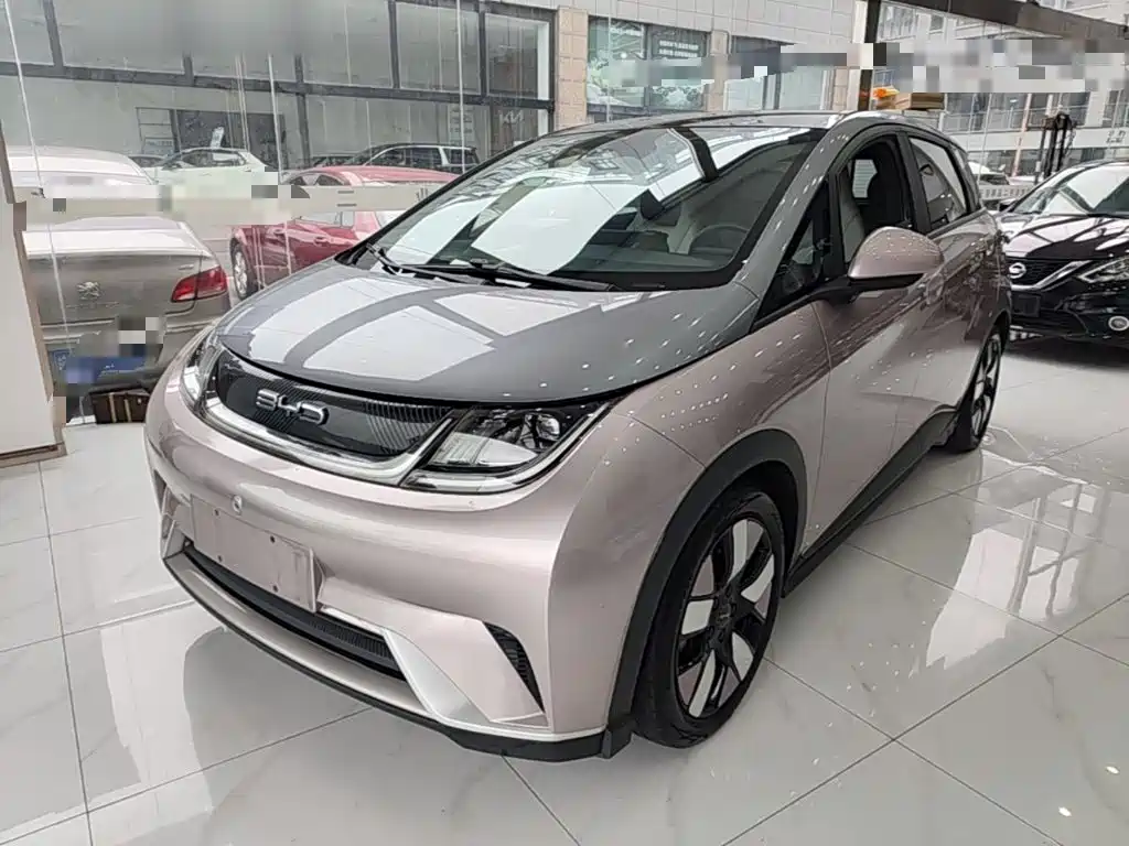BYD Dolphin — миниатюра 2