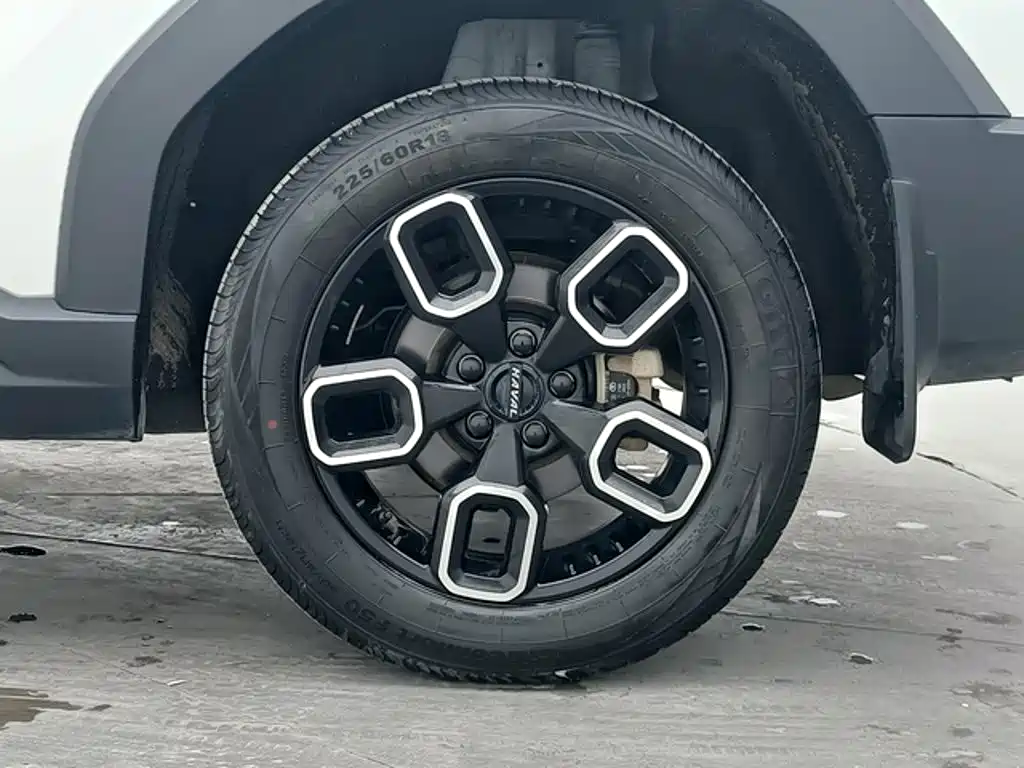Haval Cool Dog — миниатюра 9