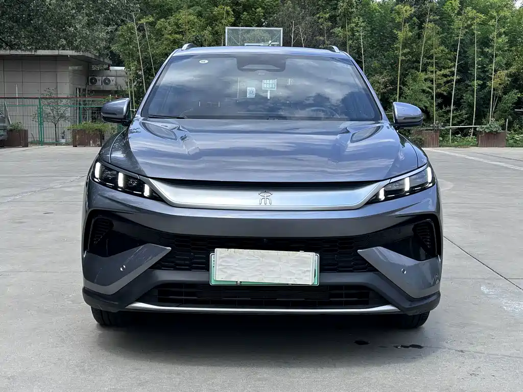 BYD Pro New Energy — миниатюра 2