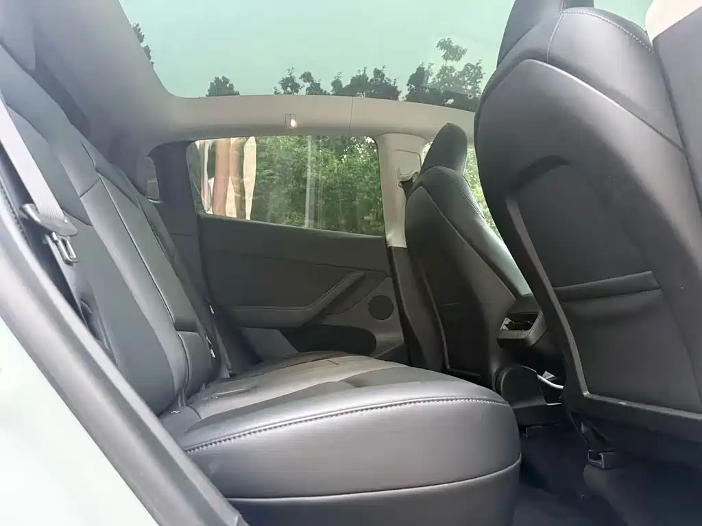 Tesla Model Y — миниатюра 12