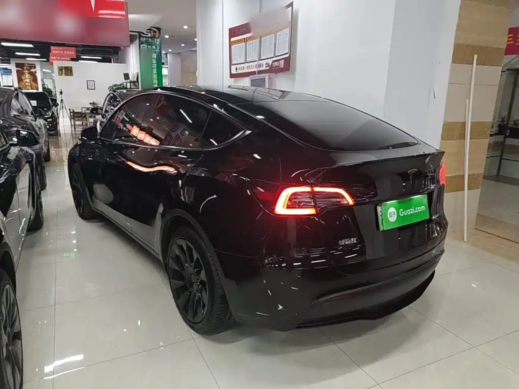 Tesla Model Y — миниатюра 5