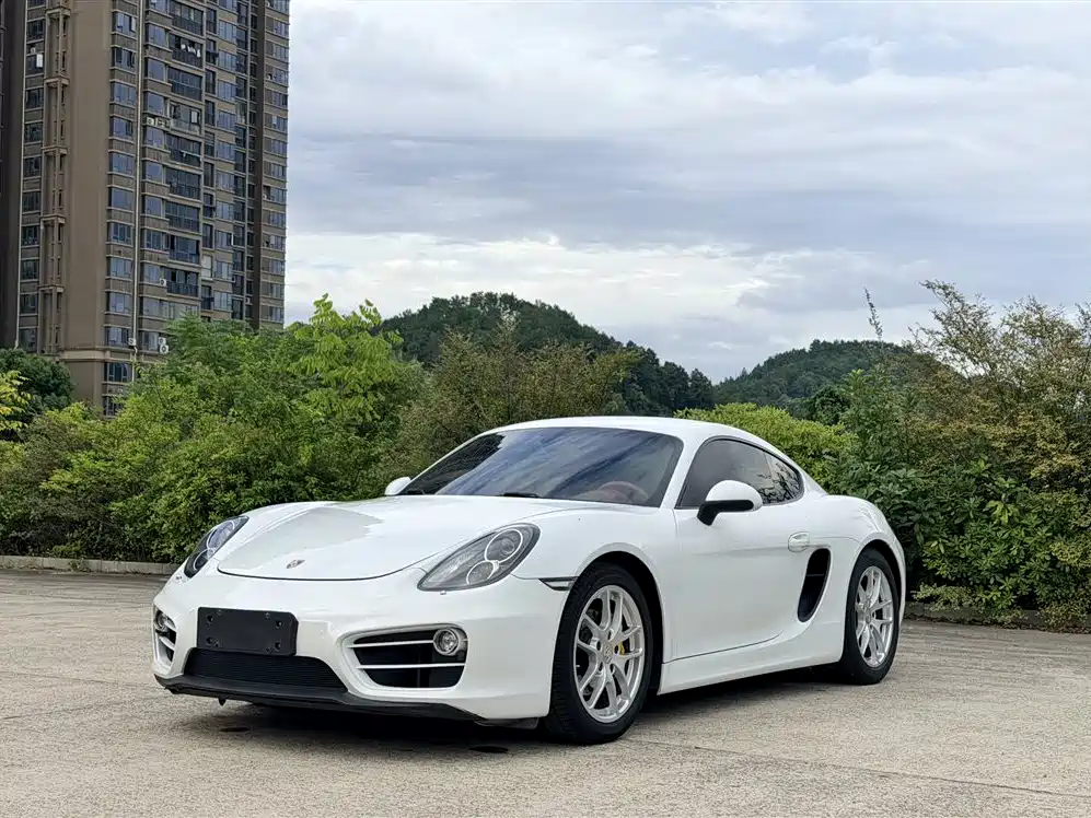 Porsche Cayman — миниатюра 2