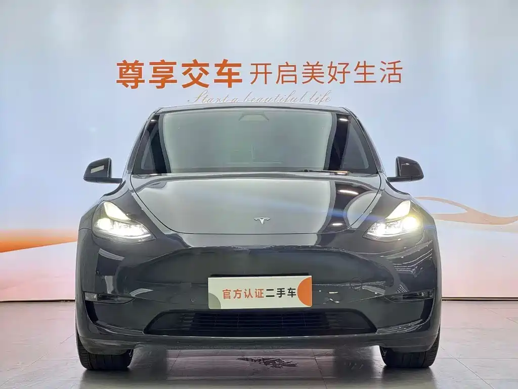 Tesla Model Y — миниатюра 2