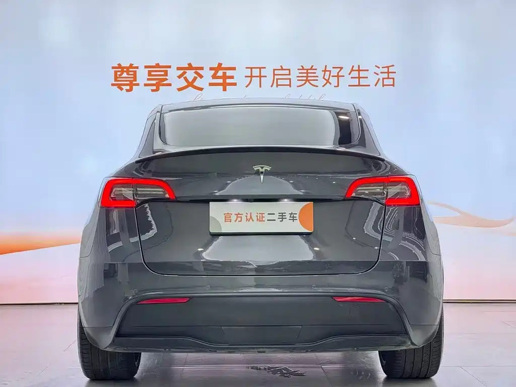 Tesla Model Y — миниатюра 8