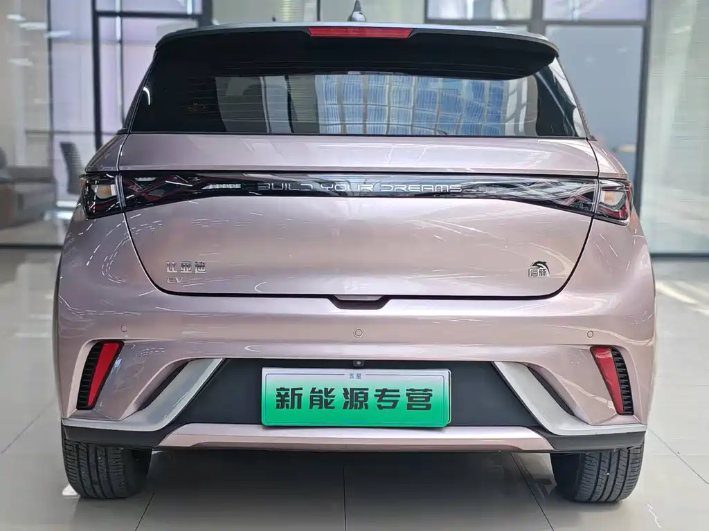 BYD Dolphin — миниатюра 4