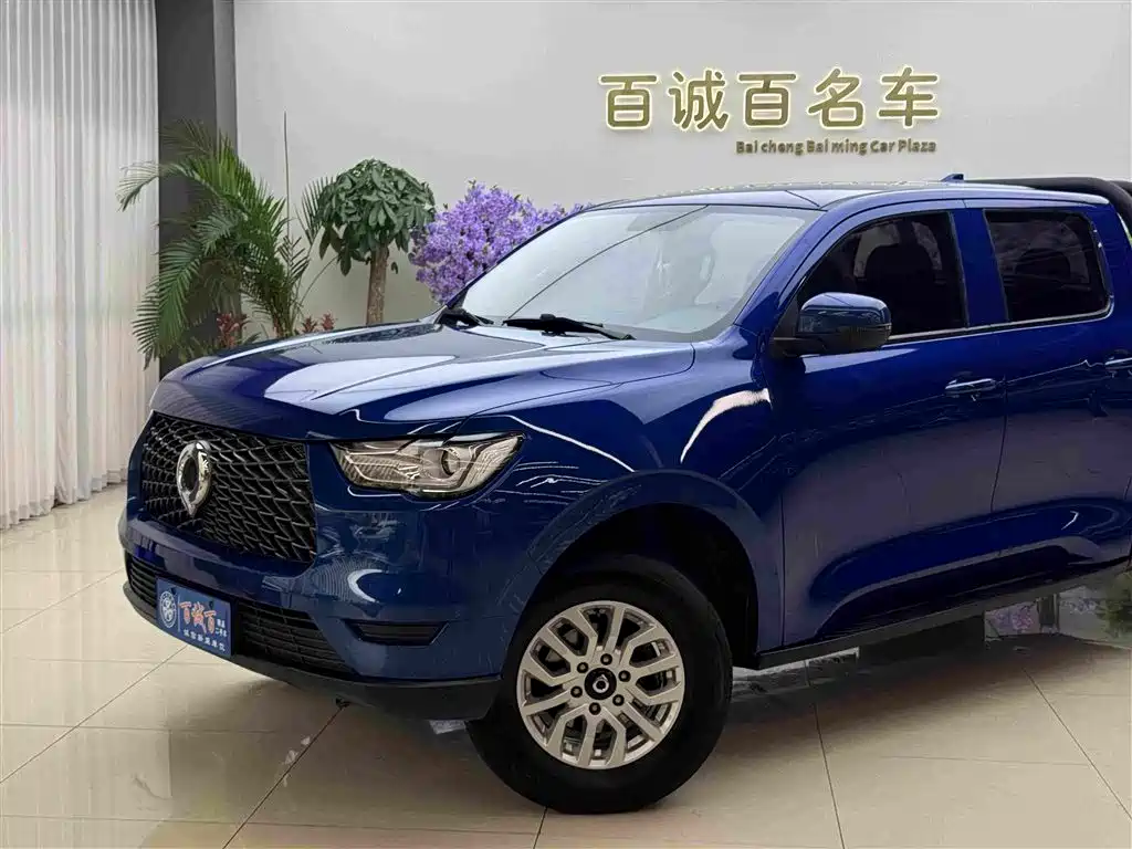 Great Wall Pao — миниатюра 2
