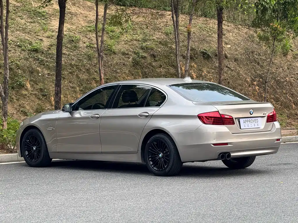 BMW 5 Series 5 2014 525Li Lead