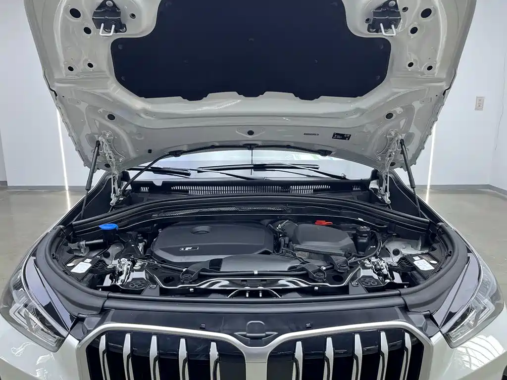 BMW X1 — миниатюра 9
