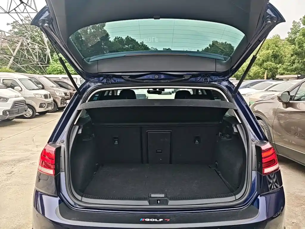 Volkswagen Golf New Energy (Import) — миниатюра 19