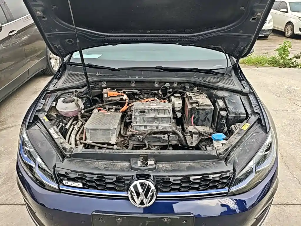 Volkswagen Golf New Energy (Import) — миниатюра 20