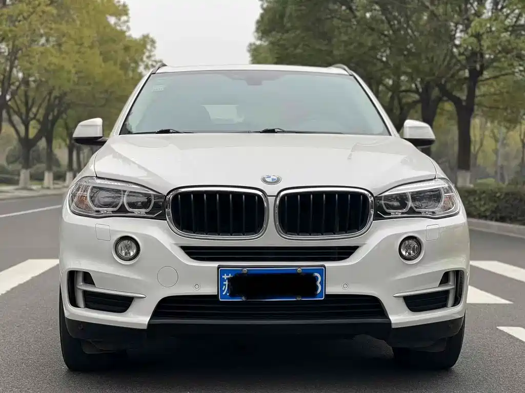 BMW X5 (Import) — миниатюра 2