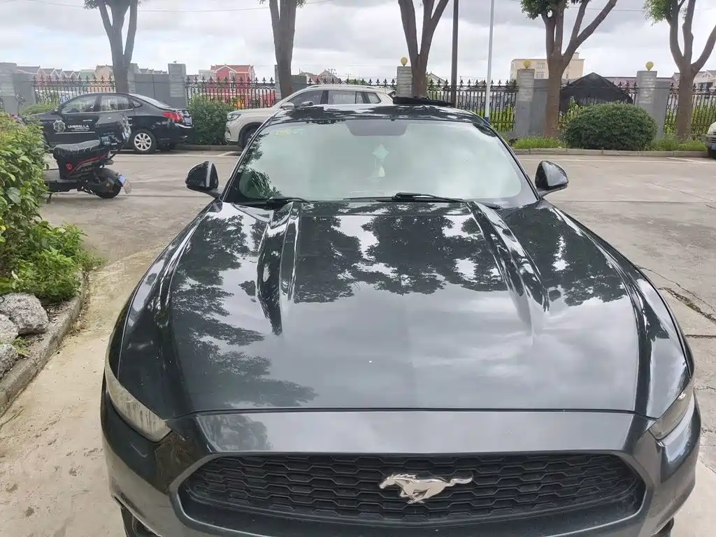 Ford Mustang — миниатюра 11
