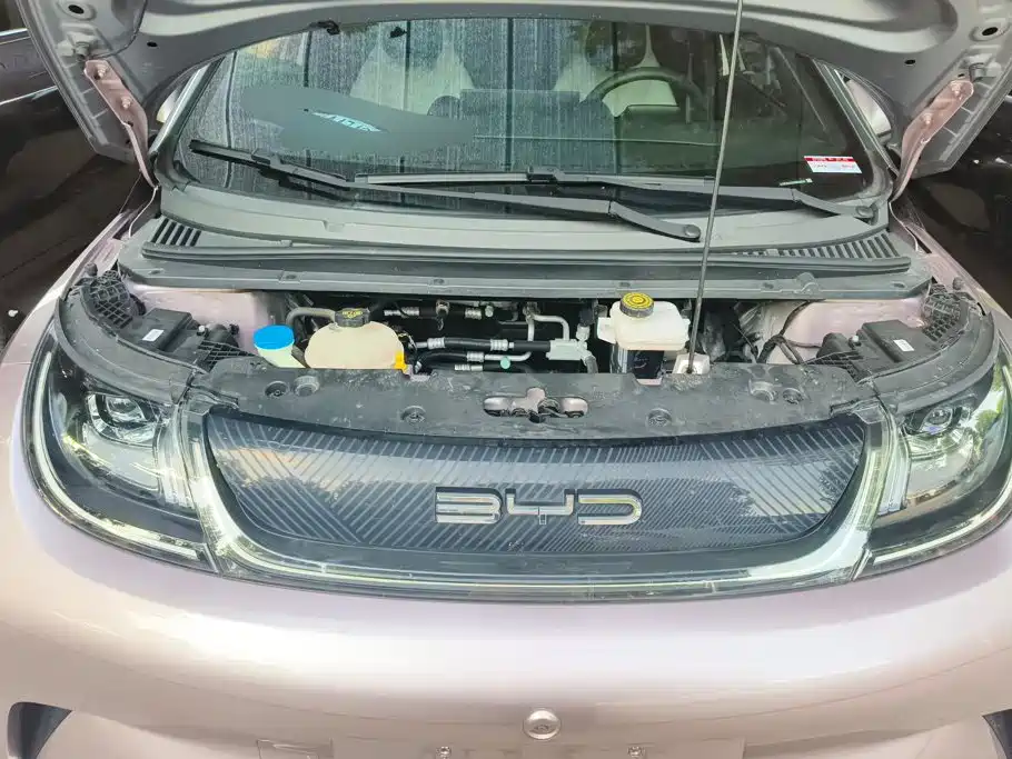 BYD Dolphin — миниатюра 10