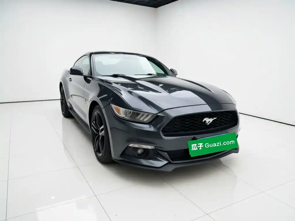 Ford Mustang — миниатюра 24