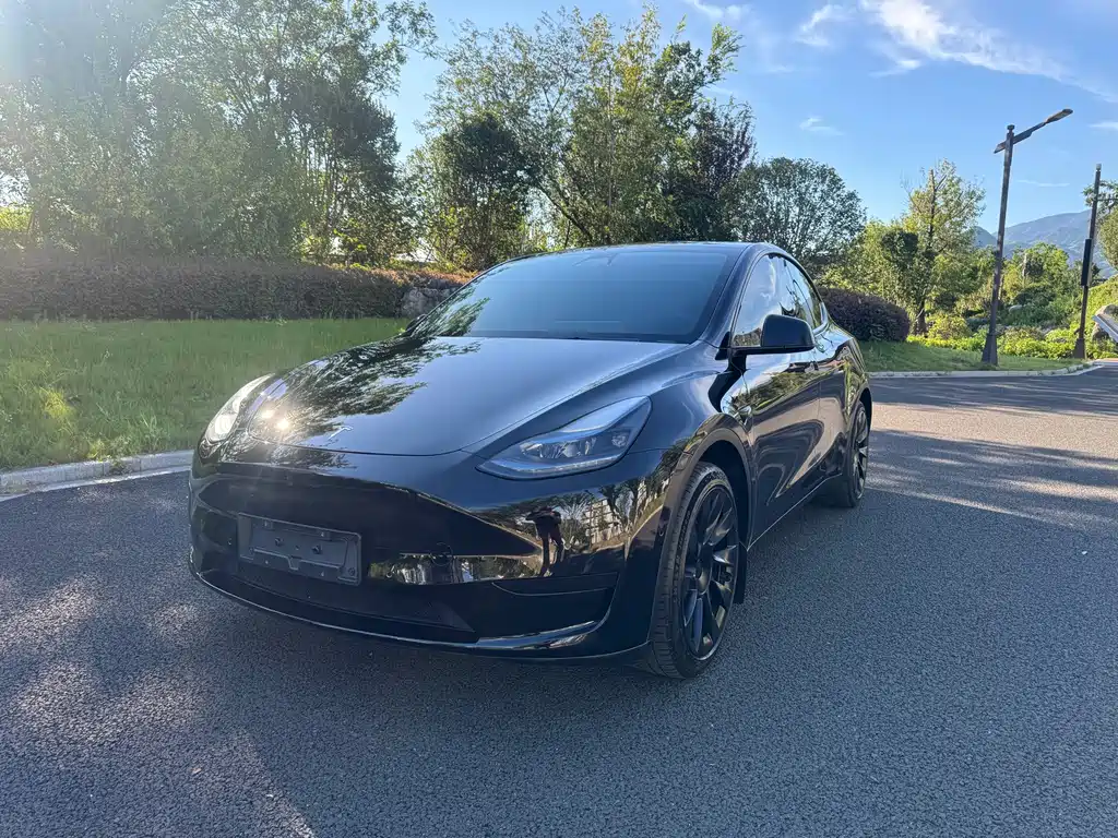 Tesla Model Y — фотографии объявления, Фото 2