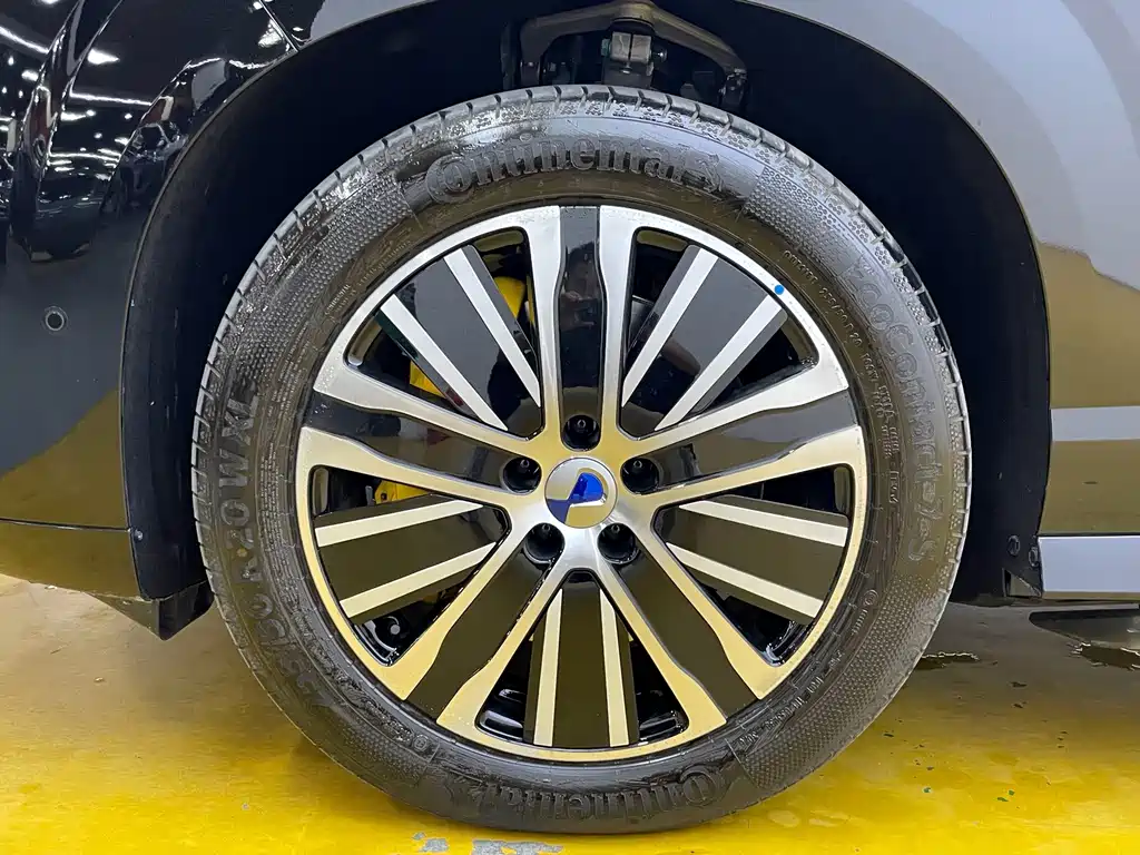 Denza Denza N8L — миниатюра 10