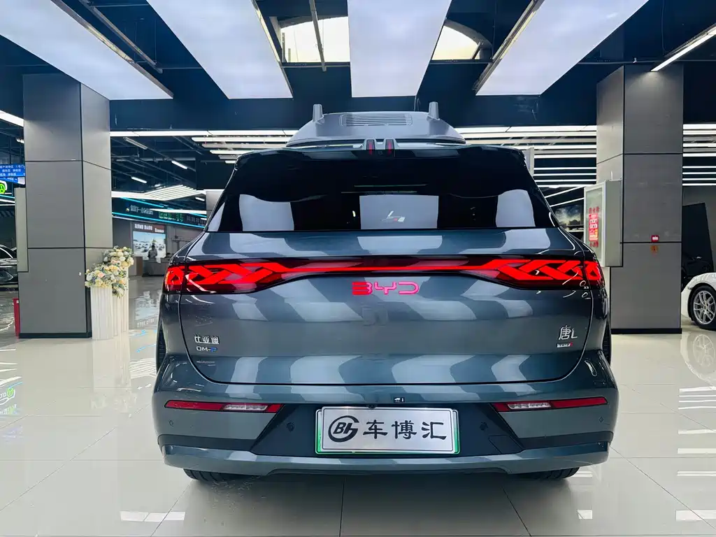 BYD Tang L - фото 5