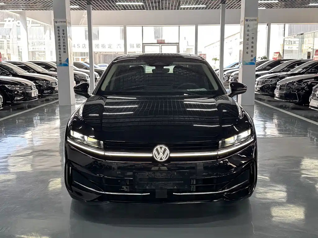 Volkswagen Magotan 2024 380TSI DSG Luxury