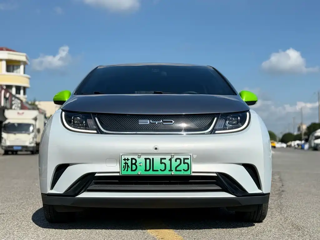 BYD Dolphin — миниатюра 2