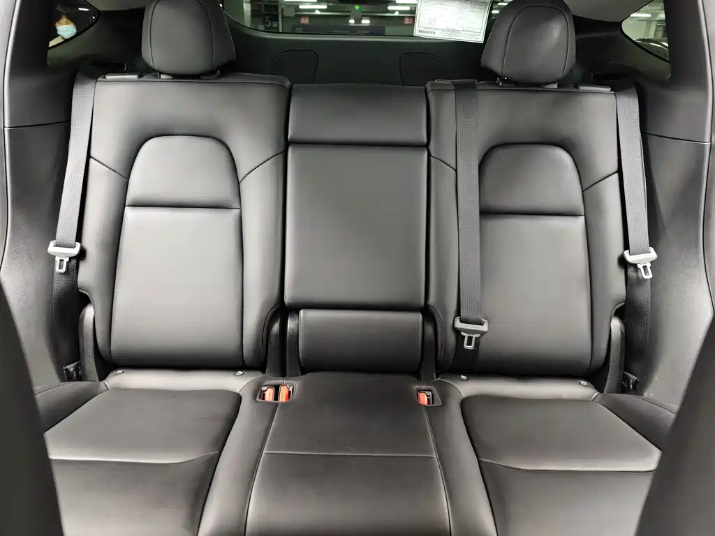 Tesla Model Y — миниатюра 54