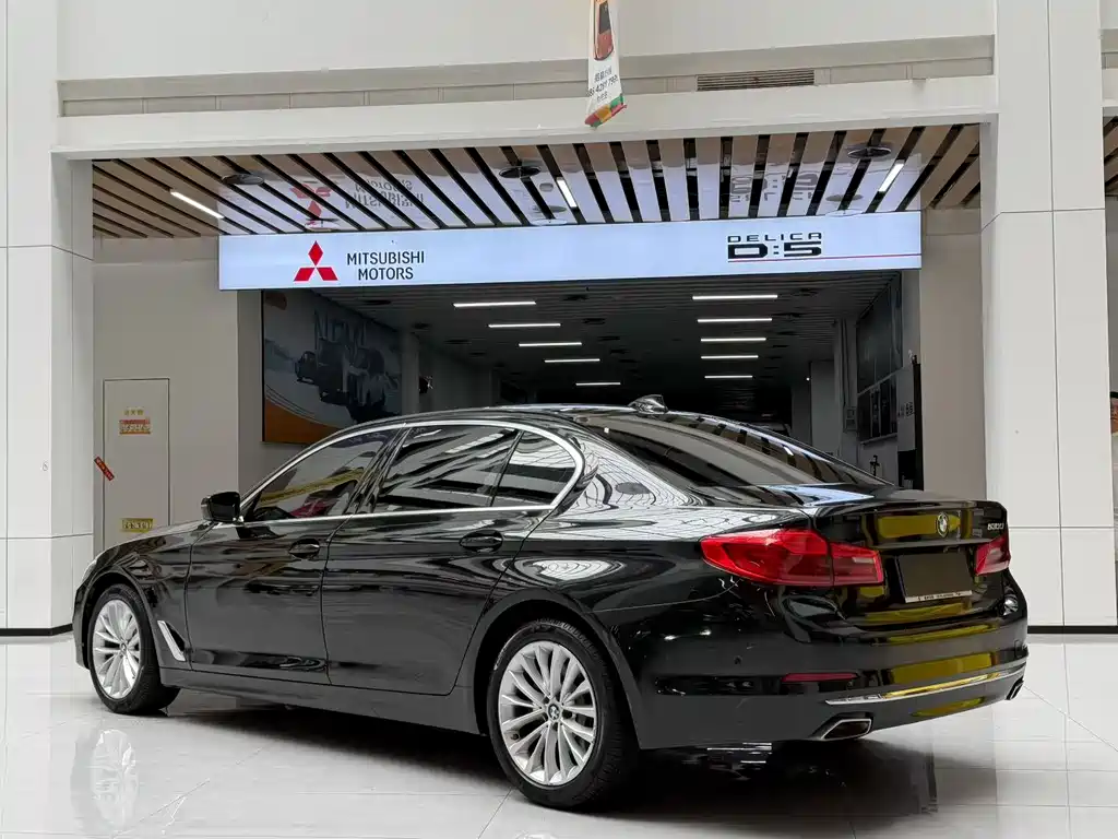 BMW 5 Series 5 2020 530Li Premium Luxury