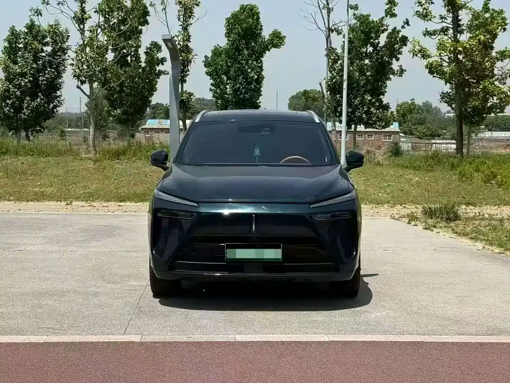 Wey Wey Lanshan — миниатюра 2